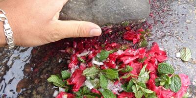 Himalayan home remedy for summer problems with mint and burans Rhododendron arboreum